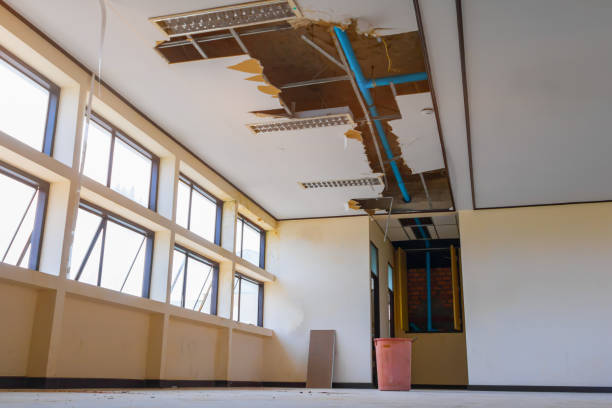 Best Emergency water damage restoration  in Elmwood Park, NJ
