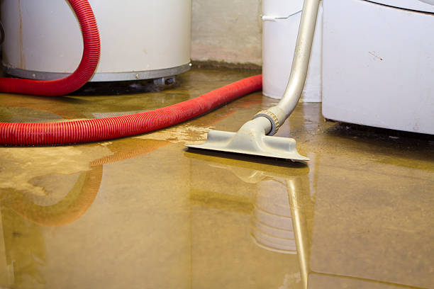 Best Water damage restoration near me  in Elmwood Park, NJ