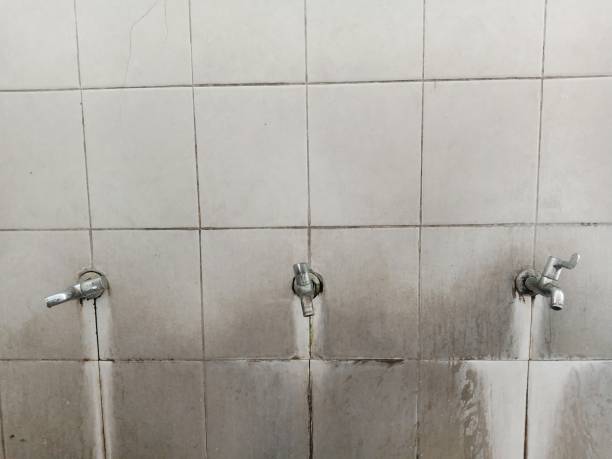 Best Professional water damage repair  in Elmwood Park, NJ