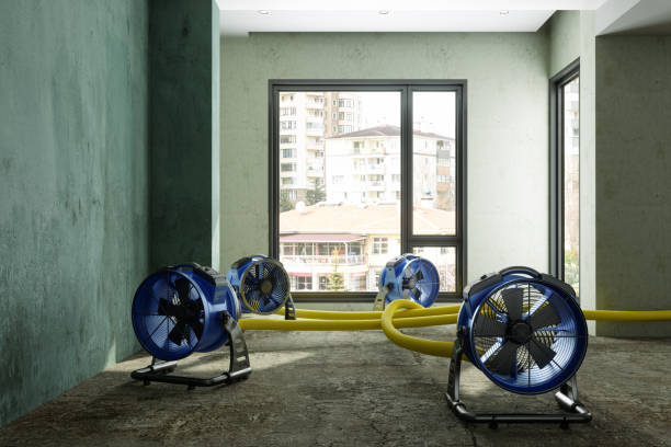 Best Emergency water damage restoration  in Elmwood Park, NJ