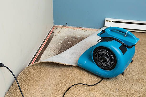Best Basement water damage restoration  in Elmwood Park, NJ